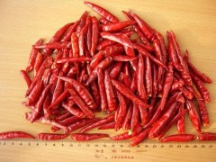 Chinese dry red hot chilli