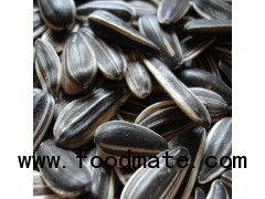 The Best Black Sunflower Seeds