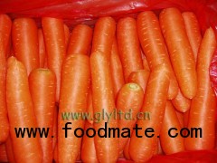 fresh carrot