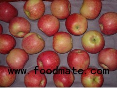 Red star apple