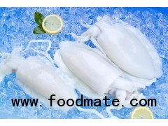 SQUID products from vietnam