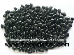 dark black kidney bean