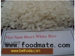 Vietnam short white rice