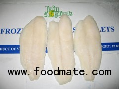 Frozen Basa Fillets