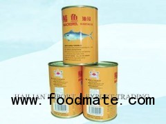 canned mackerel in oil