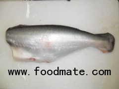 Pangasius HGT (head off, gutted, tail fin off )