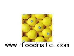 Best quality Fresh Lemon