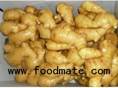 Ginger from Laiwu