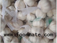 pure white garlic