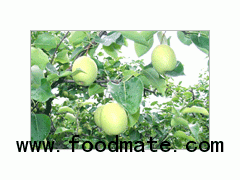 Taihuang Pear