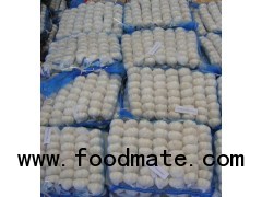 garlic from china