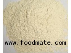 high quality garlic powder with competitive price