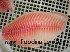 Tilapia - Oreochromis Niloticus