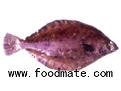 GROUND FISH - DOVER SOLE (Microstomas Pacificus)