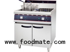 Electric Fryer