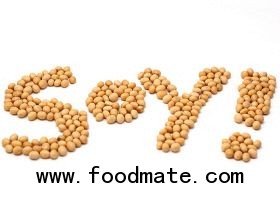 Soy