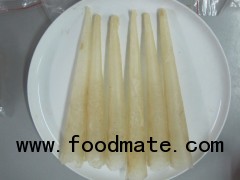 Dried Pangasius Fish Maws