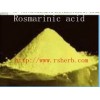 GMP Certified Natural Rosmarinic Acid