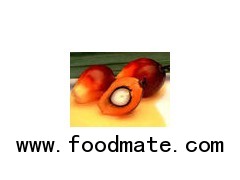 Crude Palm Oil (CPO)