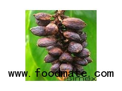 Black Cardamom