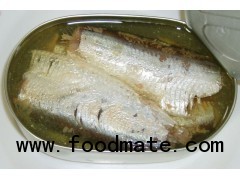 SARDINE IN OLIVE OIL