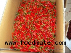 small fresh chilli