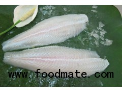 Pangasius Fillet