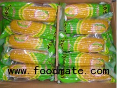 Vacuum packed sweet corn