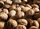 walnuts