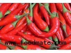 Sell Fresh Chilli, Dried Chilli, Chilli Powder