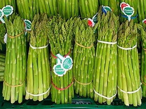 Asparagus