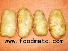 FRESH POTATO FROM BANGLADESH