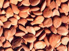 almond