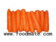 Fresh Carrot from shandong