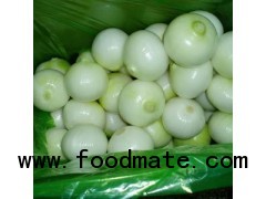 Fresh Onion from Shandong