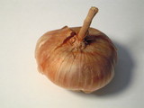 onion