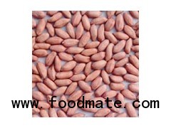 peanut kernel from Shandong