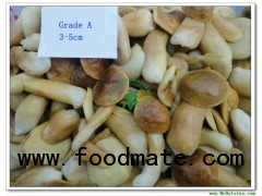 Boletus Edulis in brine Whole Mushroom Grade A(2-3CM) 141106