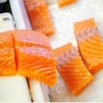 salmon