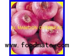 RED ONION