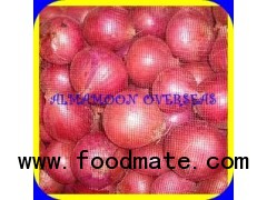 SUPPLY RED ONION