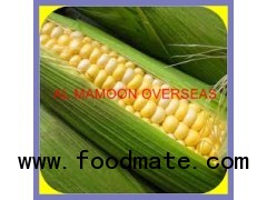 PET FOOD YELLOW MAIZE