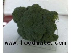 Fresh Broccoli from Egypt