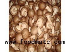 shiitake mushroom