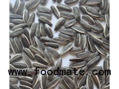 new crop chinese black sunflower seeds 5009