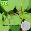 Resveratrol