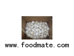 chinese garlic fresh normal white