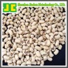 White Kidney Bean Extract