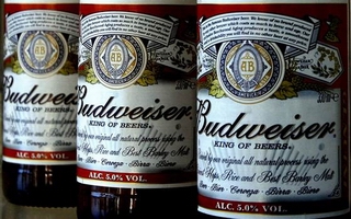 Budweiser