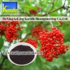 Elderberry Extract (5%-70% Anthocyanin)